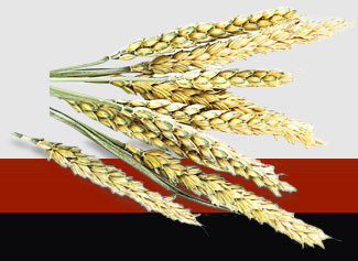 JDB电子·(中国区)试玩平台-JDB电子游戏官网