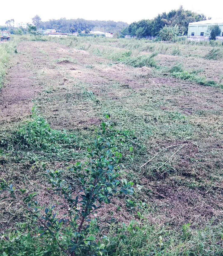 JDB电子·(中国区)试玩平台-JDB电子游戏官网