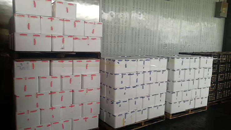 JDB电子·(中国区)试玩平台-JDB电子游戏官网