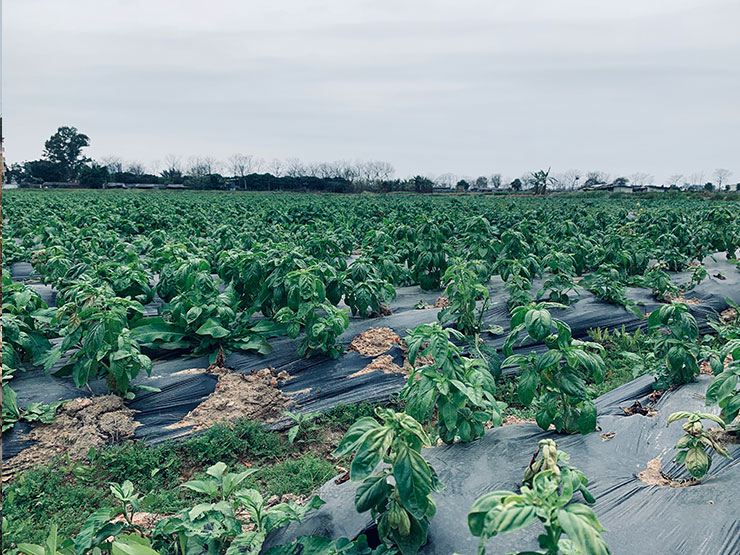 JDB电子·(中国区)试玩平台-JDB电子游戏官网