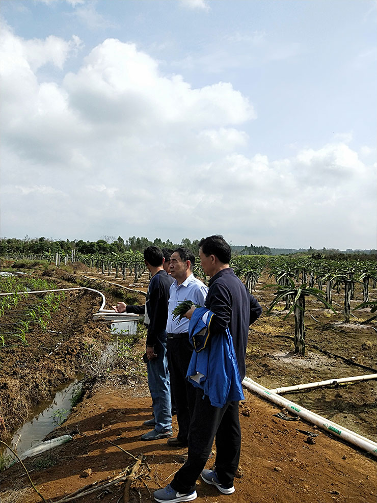 JDB电子·(中国区)试玩平台-JDB电子游戏官网