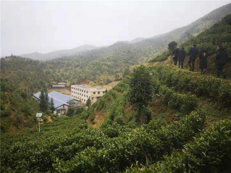 JDB电子·(中国区)试玩平台-JDB电子游戏官网