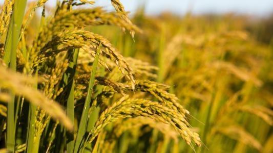 JDB电子·(中国区)试玩平台-JDB电子游戏官网