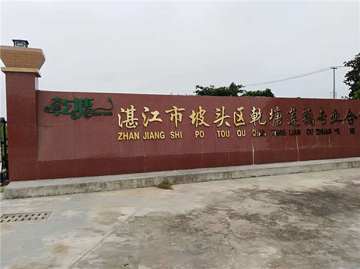 JDB电子·(中国区)试玩平台-JDB电子游戏官网