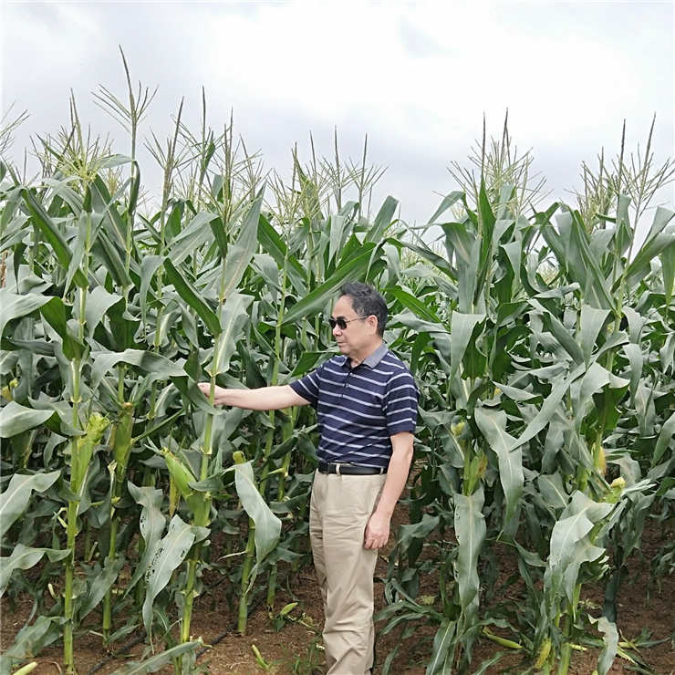 JDB电子·(中国区)试玩平台-JDB电子游戏官网