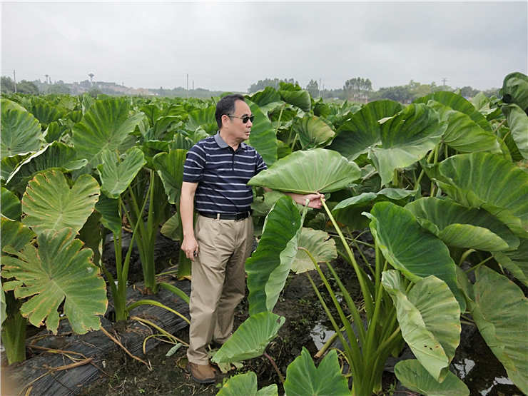 JDB电子·(中国区)试玩平台-JDB电子游戏官网