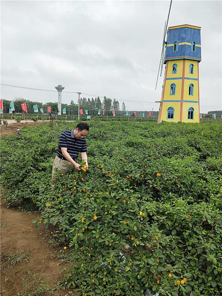 JDB电子·(中国区)试玩平台-JDB电子游戏官网