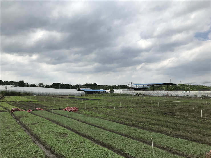 JDB电子·(中国区)试玩平台-JDB电子游戏官网