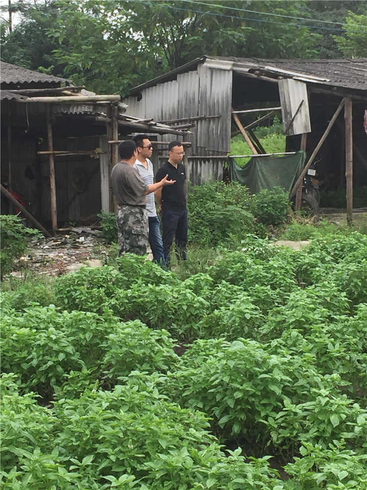 JDB电子·(中国区)试玩平台-JDB电子游戏官网