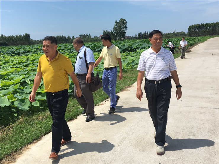 JDB电子·(中国区)试玩平台-JDB电子游戏官网