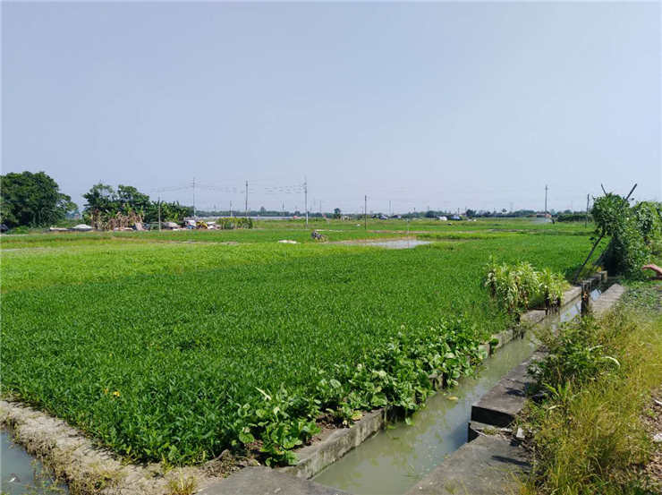 JDB电子·(中国区)试玩平台-JDB电子游戏官网