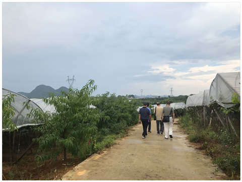 JDB电子·(中国区)试玩平台-JDB电子游戏官网