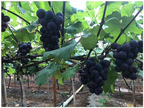 JDB电子·(中国区)试玩平台-JDB电子游戏官网