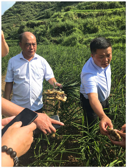 JDB电子·(中国区)试玩平台-JDB电子游戏官网