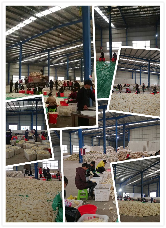 JDB电子·(中国区)试玩平台-JDB电子游戏官网