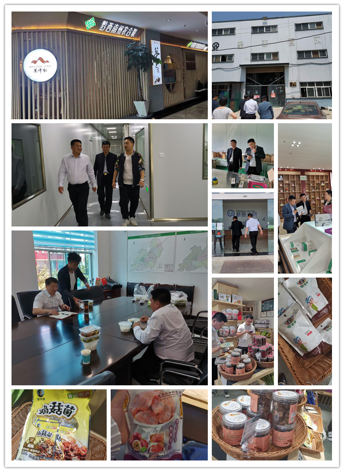 JDB电子·(中国区)试玩平台-JDB电子游戏官网