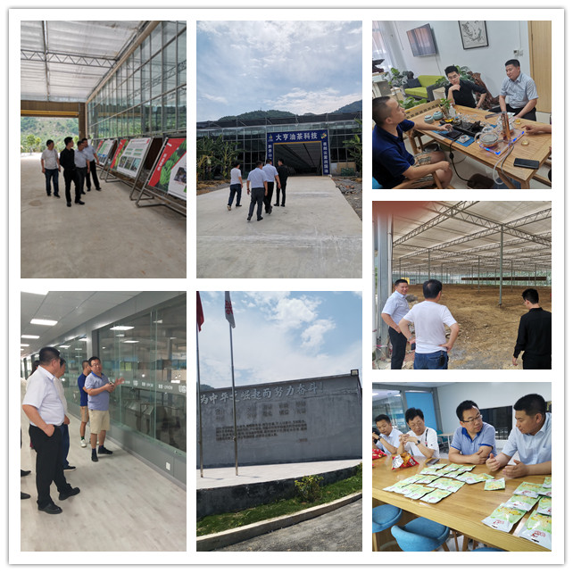 JDB电子·(中国区)试玩平台-JDB电子游戏官网