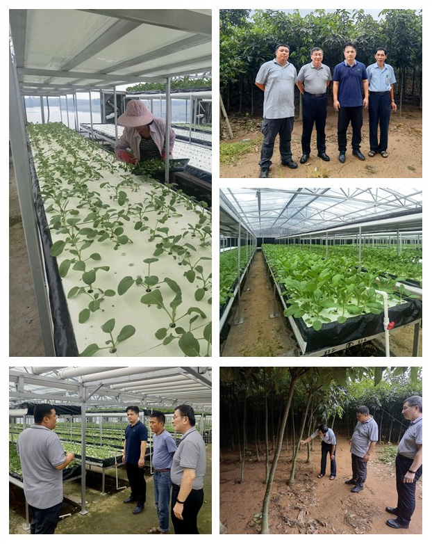 JDB电子·(中国区)试玩平台-JDB电子游戏官网