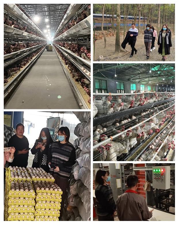 JDB电子·(中国区)试玩平台-JDB电子游戏官网