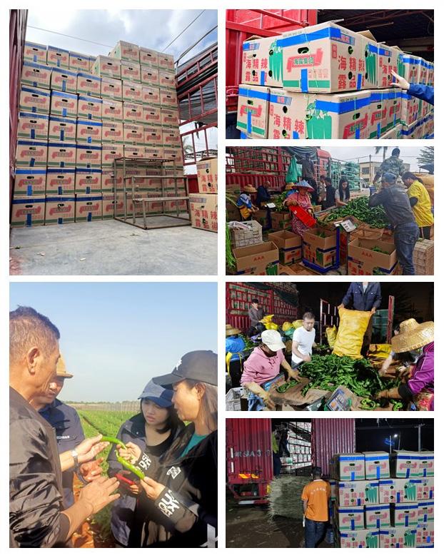 JDB电子·(中国区)试玩平台-JDB电子游戏官网