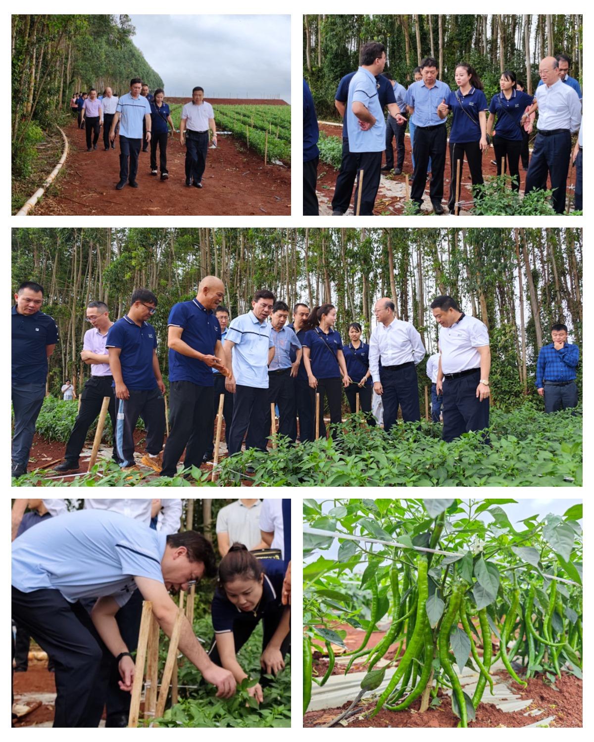 JDB电子·(中国区)试玩平台-JDB电子游戏官网