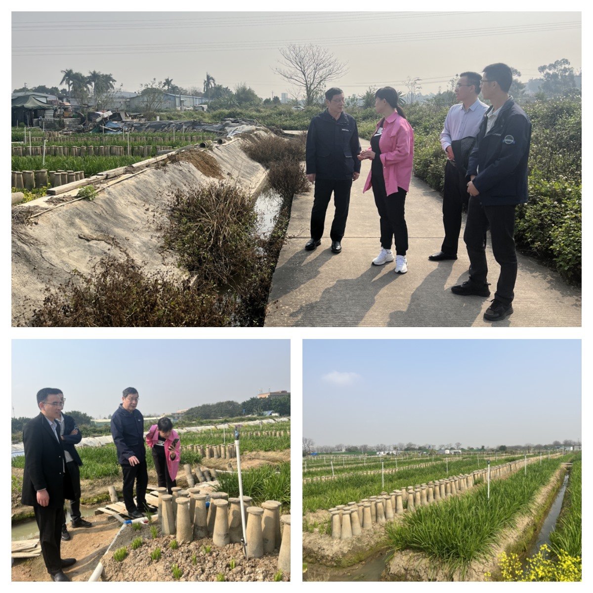 JDB电子·(中国区)试玩平台-JDB电子游戏官网