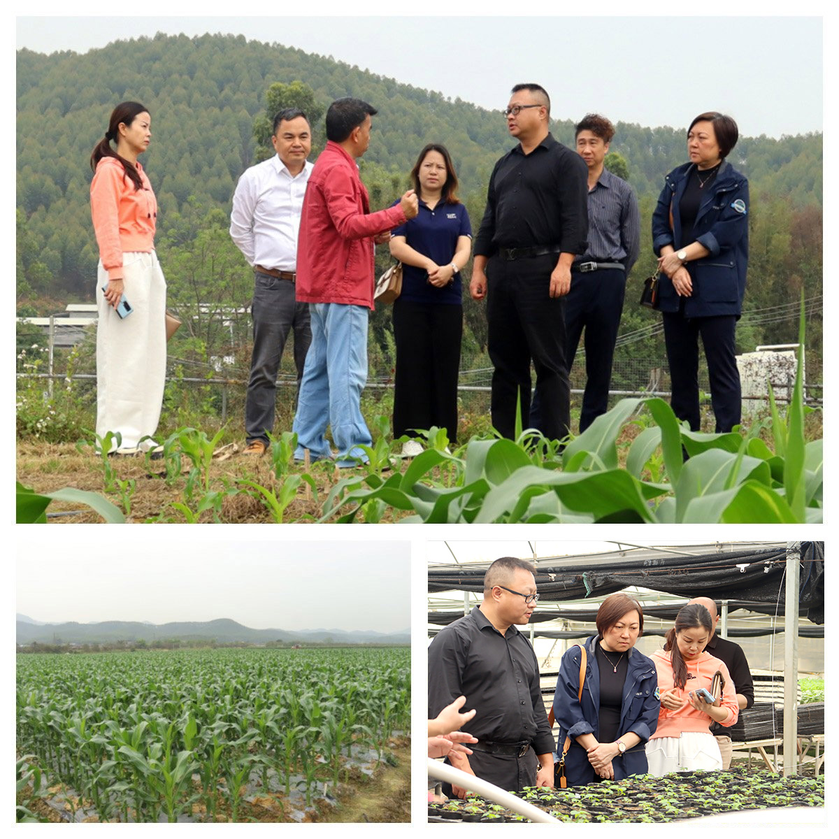 JDB电子·(中国区)试玩平台-JDB电子游戏官网