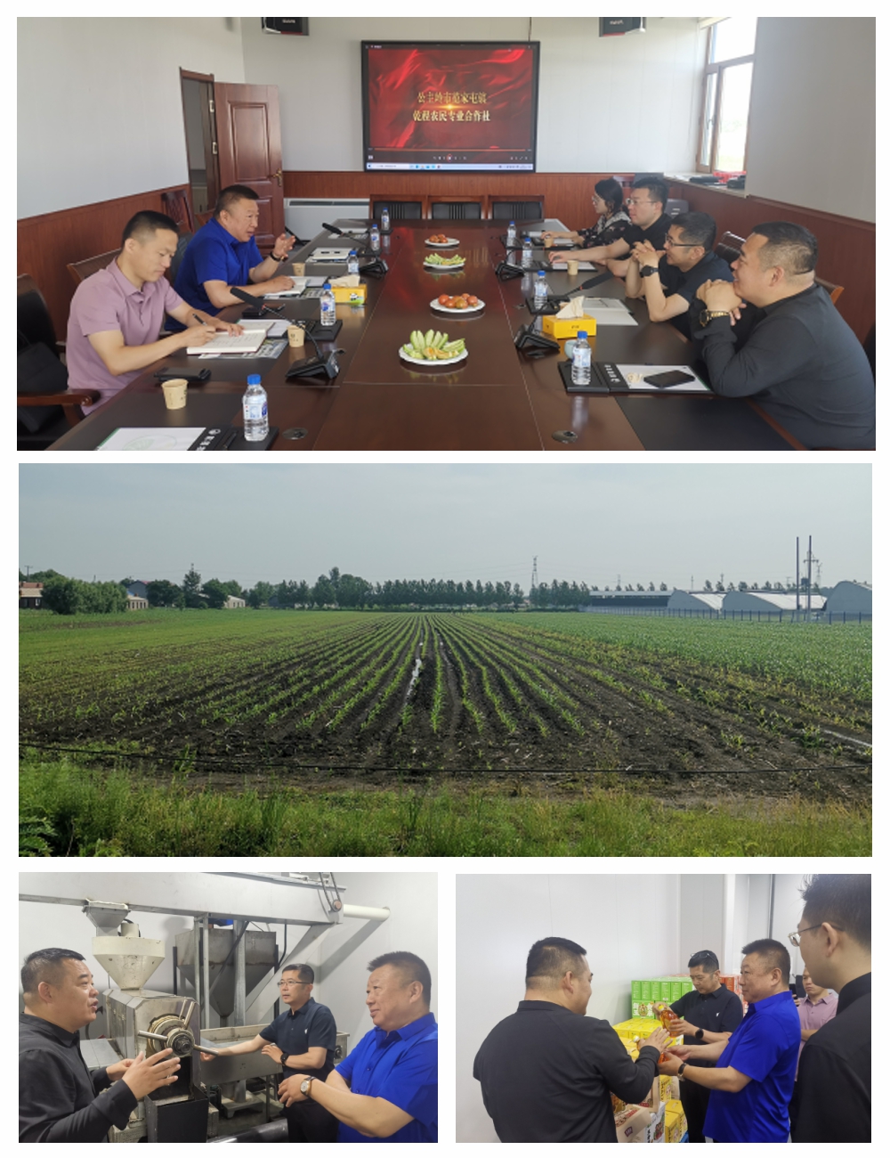 JDB电子·(中国区)试玩平台-JDB电子游戏官网