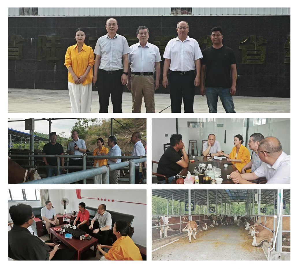 JDB电子·(中国区)试玩平台-JDB电子游戏官网